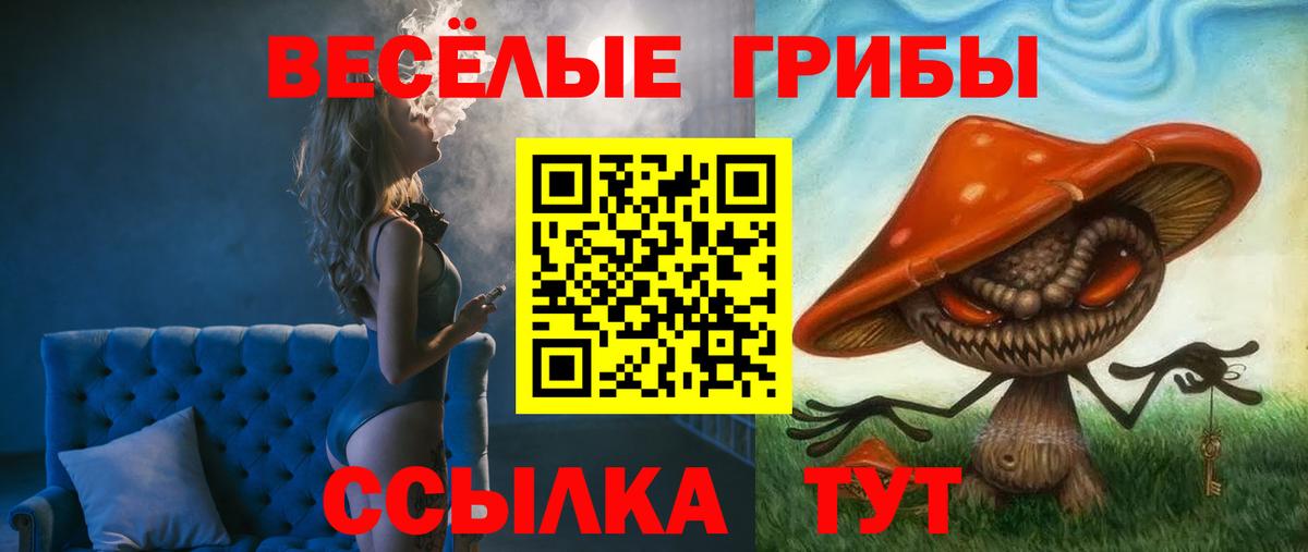 Псилоцибиновые грибы Psilocybine cubensis  Вход с VPN  где найти   Галлюциногенные грибы Psilocybe  Нурлат 